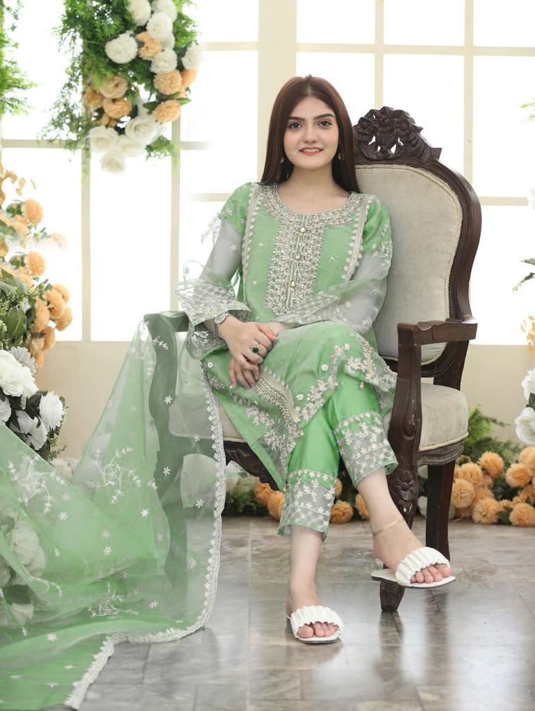 3-Piece Stitched Fancy Dress Premium Quality