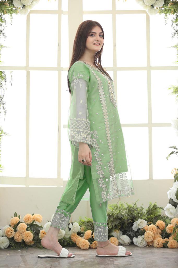 3-Piece Stitched Fancy Dress Premium Quality