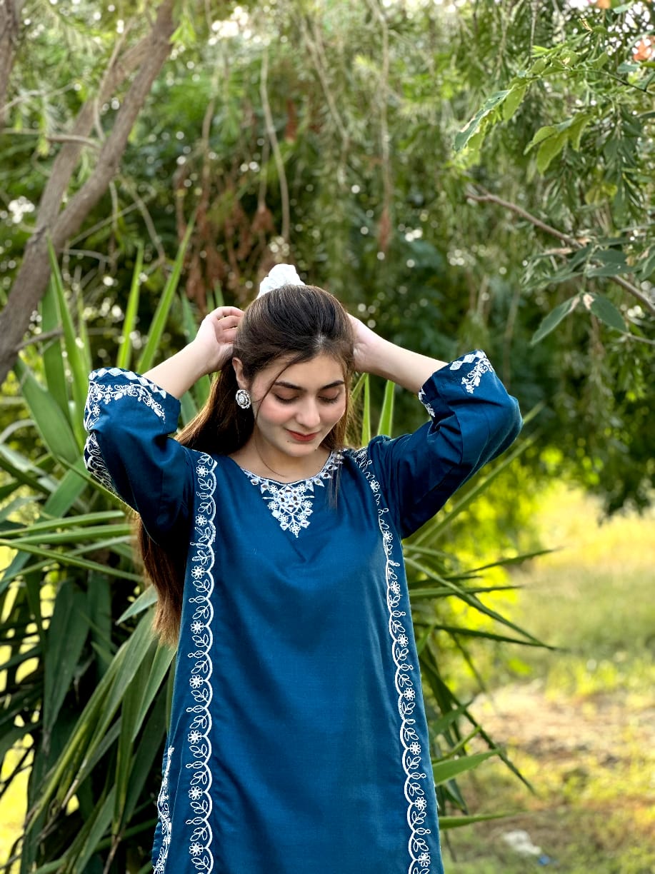 2-Piece Stitched Embroidered Dress Premium Quality