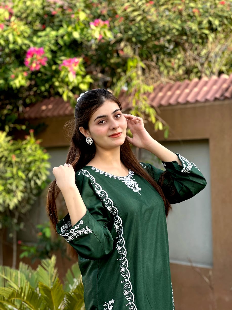 2-Piece Stitched Embroidered Dress Premium Quality